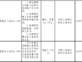 宁安融兴村镇银行被罚23.1万元：因超过期限向中国人民银行报送账户开立资料等四项违法行为类型