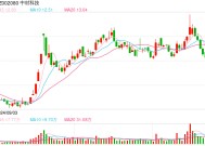 中材科技：预计2024年净利润同比下降57.26%~71.48%