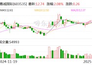 嘉诚国际：2024年净利润同比增长24.53%