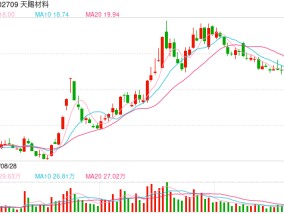 电解液“一哥”天赐材料业绩再腰斩，比两年前少赚50亿元