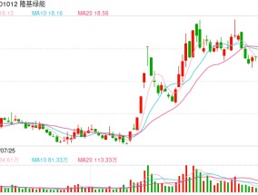 超30家企业签订史上最严自律公约，光伏“欧佩克”能否拯救行业凛冬