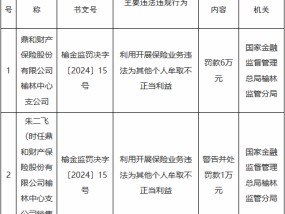 鼎和财险榆林中心支公司被罚6万元：利用开展保险业务违法为其他个人牟取不正当利益