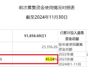 比依股份信披违规遭罚后仍“遮遮掩掩” 大量产能在建却还要募资扩张|定增志