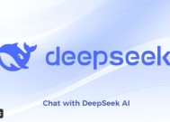 DeepSeek认为对自己分析最全面的文章 我们给你翻译出来了