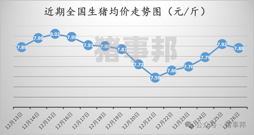 12月26日猪价汇总（北方转跌，西南小涨！）